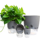 5 PCS Transparent Plastic Double-Layer Water Storage Automatic Water-Absorbing Flowerpot, Size: A705 Caliber 10.5cm(White Transparent Basin)