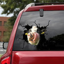 7 PCS Animal Wall Stickers Cattle Head Hoisting Car Window Static Stickers(Cow 02)