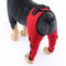 Pet Dog Leg Knee Guard Surgery Injury Protective Cover, Size: S(Red)