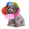 Pet Protection Collar Dog Flower Protection Collar, Specification: L(Rainbow)