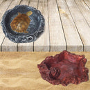 2 PCS Wood Pattern Food Bowl Reptile Water Food Basin Turtle Lizard Snake Water Basin