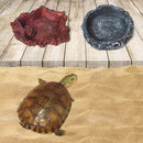 2 PCS Wood Pattern Food Bowl Reptile Water Food Basin Turtle Lizard Snake Water Basin