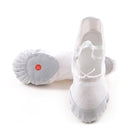 2 Pairs Flats Soft Ballet Shoes Latin Yoga Dance Sport Shoes for Children & Adult(White)