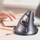 DELUX M618 6-Keys Vertical Snail Ergonomic Wireless Mouse(Black)