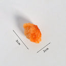 10 PCS Chicken Rice Flower Model Simulation Food Model Toy Shooting Props