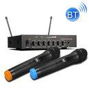 S-16-1 Household Smart TV U Segment Bluetooth Wireless Microphone With Tuning Reverberation 1 In 2, US Plug