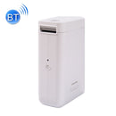 NIIMBOT D101 Handheld Portable Bluetooth Smart No Ink Label Printer, Model: Standard