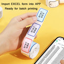 NIIMBOT D101 Handheld Portable Bluetooth Smart No Ink Label Printer, Model: Standard+2 Roll White Label Paper