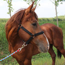 Nylon Full-Line Board Horse Rein Headstall Equestrian Supplies, Specification: M (Black)