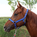 Nylon Full-Line Board Horse Rein Headstall Equestrian Supplies, Specification: L (Blue)