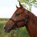 Nylon Full-Line Board Horse Rein Headstall Equestrian Supplies, Specification: XL (Black)