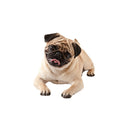 4 PCS Style 2 Small 3D Simulation Dog Car Stickers Rain-Proof Sunscreen Car Sticker Scratch Shaving Decoration Stickers