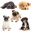 4 PCS Style 2 Small 3D Simulation Dog Car Stickers Rain-Proof Sunscreen Car Sticker Scratch Shaving Decoration Stickers