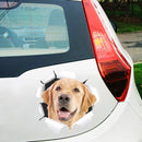 4 PCS 3D Simulation Animal Personality Car Stickers Glass Car Door Scratches Decorative Occlusion Stickers(Cat Style 1)