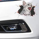 4 PCS 3D Simulation Animal Personality Car Stickers Glass Car Door Scratches Decorative Occlusion Stickers(Cat Style 1)