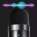 JD-900 USB Condenser Microphone With Monitor(Black And Black Net)