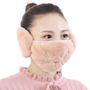 2 PCS 2 in 1 Autumn Winter Ladies Embroidery Faux Rabbit Fur Warm Mask Earmuffs(Cat Khaki)