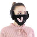 2 PCS 2 in 1 Autumn Winter Ladies Embroidery Faux Rabbit Fur Warm Mask Earmuffs(Rabbit Ear Black)