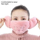 2 PCS 2 in 1 Autumn Winter Ladies Embroidery Faux Rabbit Fur Warm Mask Earmuffs(Cat Khaki)