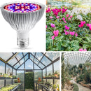 E27150W 200 Lamp Beads LED Plant Growth Lamp Plant Fill Light(Sun Light)