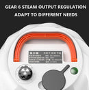 Steam Cleaner High Temperature Sterilization Cleaning Machine with 1L Water Tank 220V AU Plug(White)