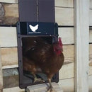 B177 Light-Sensitive Automatic Chicken Coop Door Hen House Pet Door