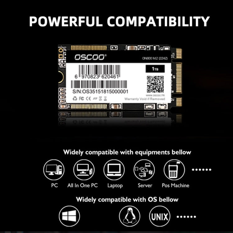 OSCOO ON800 M.2 2242 Computer SSD Solid State Drive, Capacity: 256GB