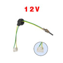 Ignition Stopper Heater Accessories Nitride Ceramic Electric Plug(12V )