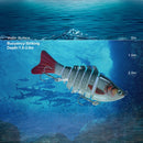 2 PCS PROBEROS HS066 10cm 15.5g Sea Fishing Simulation Road Sub-Bait(D)