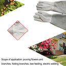 1 Pair JJ-GD301 Genuine Leather Garden Cut-Resistant Long Safety Gloves, Size: XL
