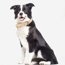 JINMAOHOU Dogs Double-Layer Leather Collar, Specification: L 59x3.2cm(Orange)