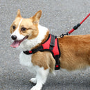 K9 Dog Adjustable Chest Strap, Size: XL(Blue)