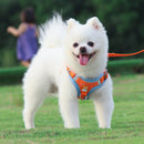 BL-867 Pet Chest Straps Reflective Dog Traction Rope, Size: M(Orange)