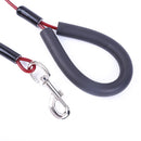 Pet Bite-Proof Wire Traction Rope, Length: 200cm(Blue)