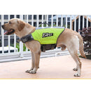 Reflective Printed Pet Dog Life Jacket Swimsuit, Size: XL(Fluorescent Green)
