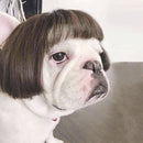 Pet Fake Puppy Cospaly Props(Black Straight Hair)