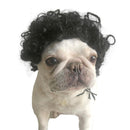 Pet Fake Puppy Cospaly Props(Black Curly Hair)