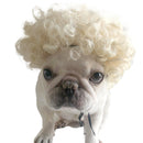 Pet Fake Puppy Cospaly Props(Golden Curly Hair)