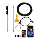 Center Console Modified LED Guide Light, Style: DC Line Remote Control+APP Control(2m Black)