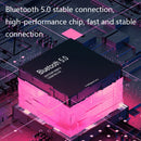 DS813 Live Wireless Bluetooth Microphone(Black)