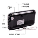 Y-619 FM/AM Mini Radio MP3 Rechargeable Music Player Support TF/SD Card with LED Display(Gold)