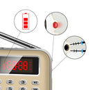 Y-619 FM/AM Mini Radio MP3 Rechargeable Music Player Support TF/SD Card with LED Display(Blue)