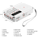 L-938 MP3 Audio Player FM Radio Support SD MMC Card AUX-IN Earphone-out(Pink)