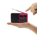 Y-928 FM Radio LED Display MP3 Support TF Card U Disk(Blue)