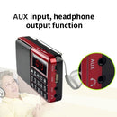 Y-928 FM Radio LED Display MP3 Support TF Card U Disk(Blue)