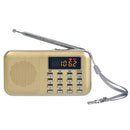 L-218AM MP3 Radio Speaker Player Support TF Card USB with LED Flashlight Function(Gold)