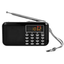 L-218AM MP3 Radio Speaker Player Support TF Card USB with LED Flashlight Function(Black)