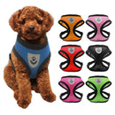 Pet Chest Strap Small Medium Dog Cat Breathable Dog Walking Vest, Size: S Chest Back(Red)