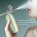 Z24 Household Face Supply Essence Import Hand Holding Spray Beauty Instrument(Green)