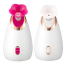 JF6 Nano Spray Moisturizing Instrument Face Steamer, Plug Specifications: US Plug(Rose Red)